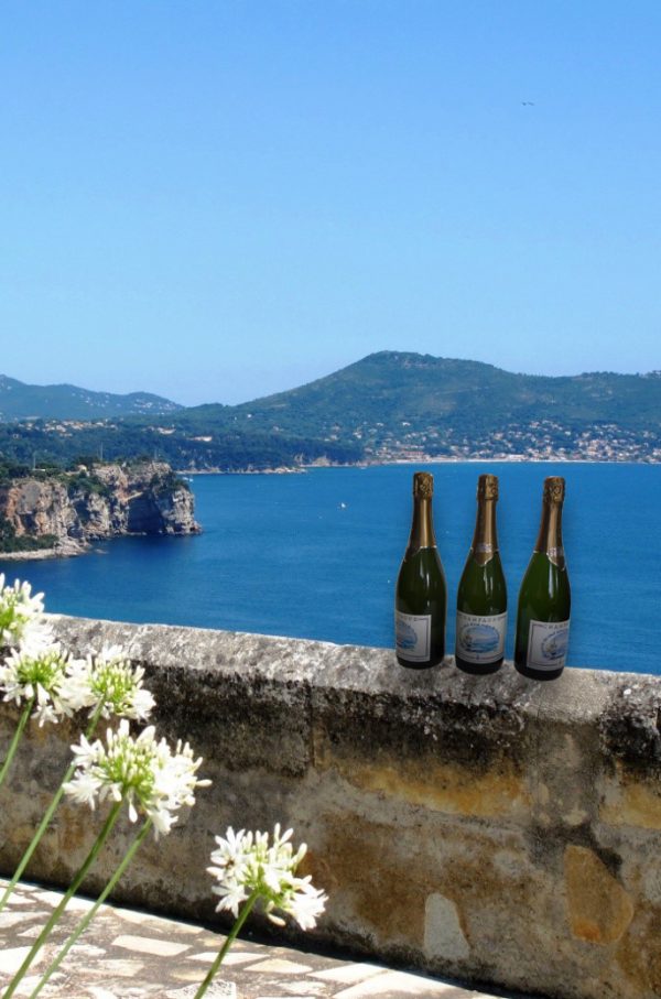 Champagne cuvée du chef d'état-major de la Marine